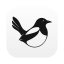Magpie